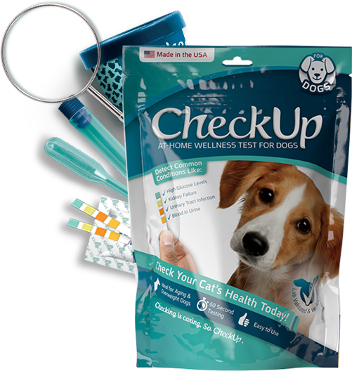 View 9 of CheckUp Dogs