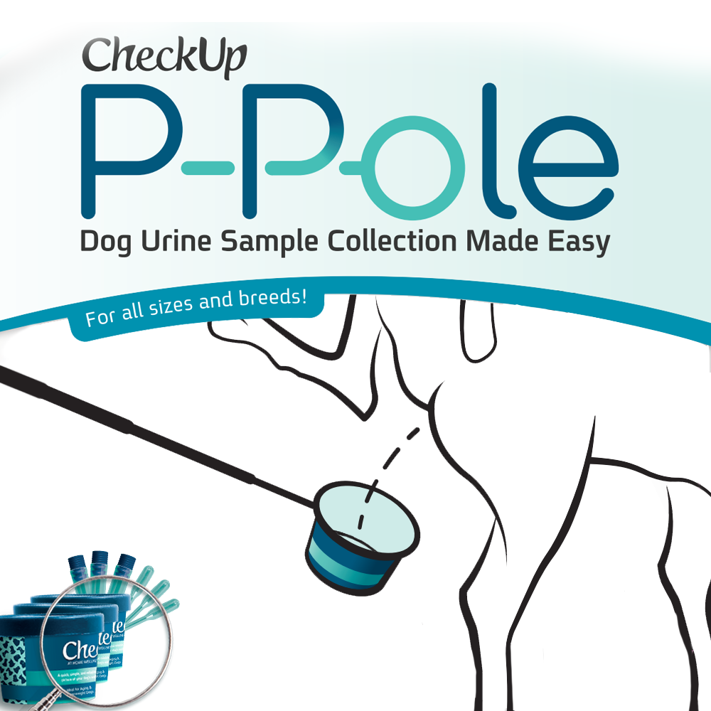 View 5 of Checkup P-Pole