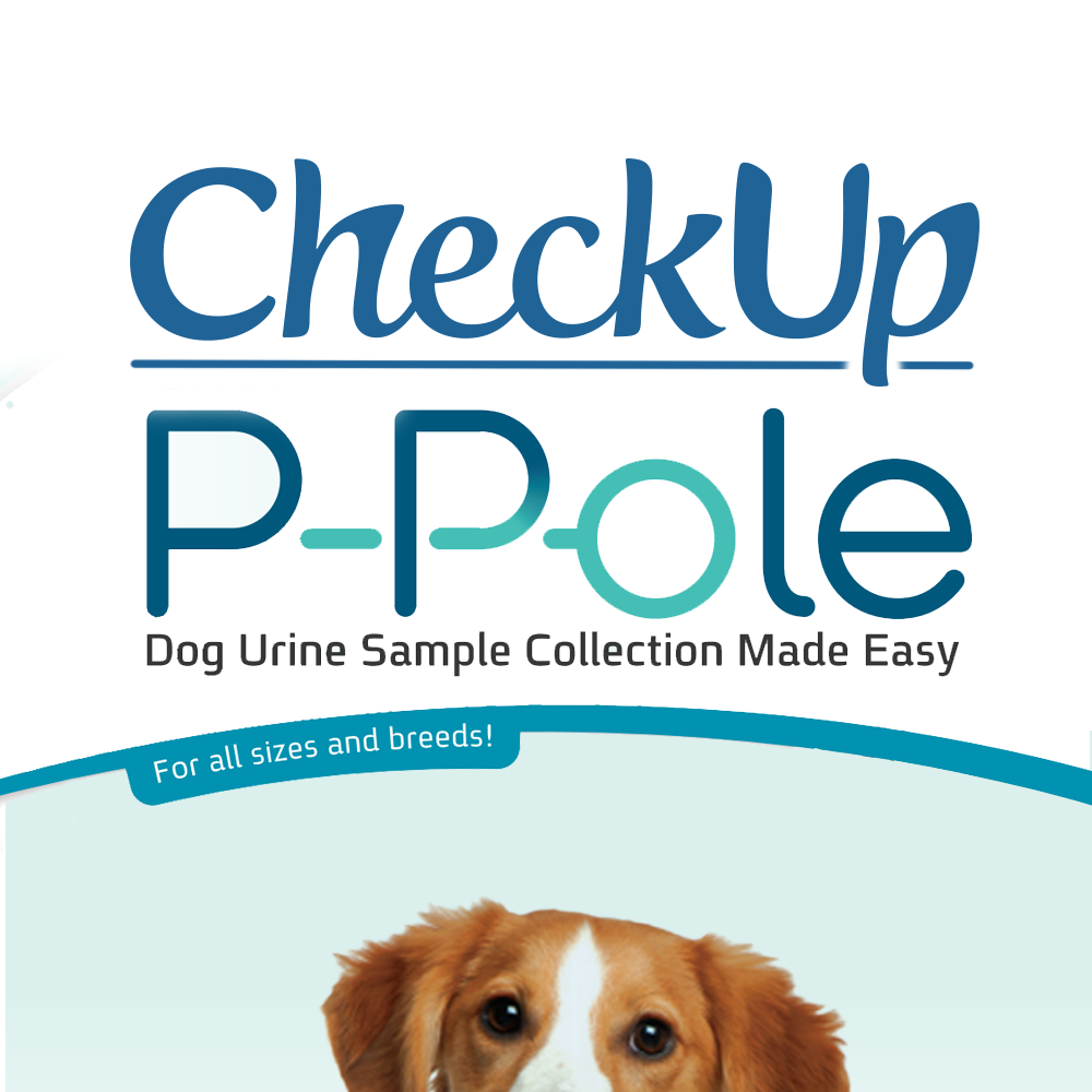 View 6 of Checkup P-Pole