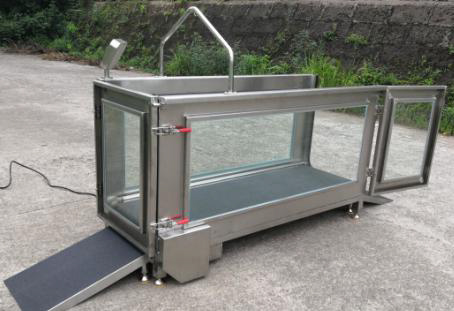 View 2 of Pet hydrotherapy underwater treadmill YS-80/380/480
